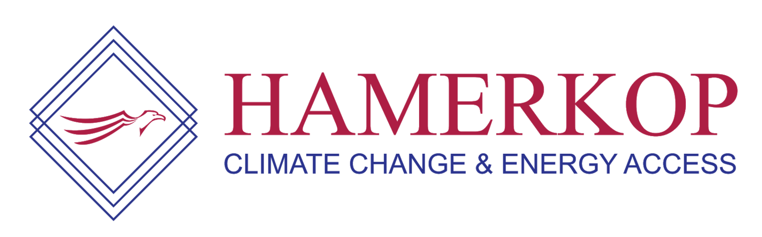 logo Hamerkop
